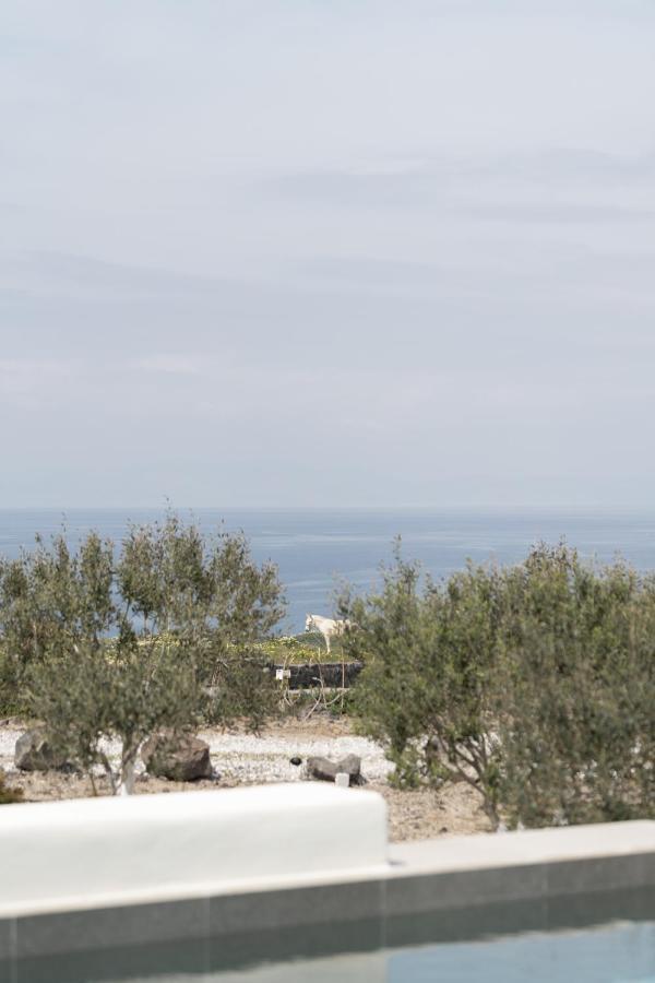 Saint John Oia-Exclusive Private Heated Pool Villas 外观 照片